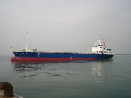 Domestic Ocean transport