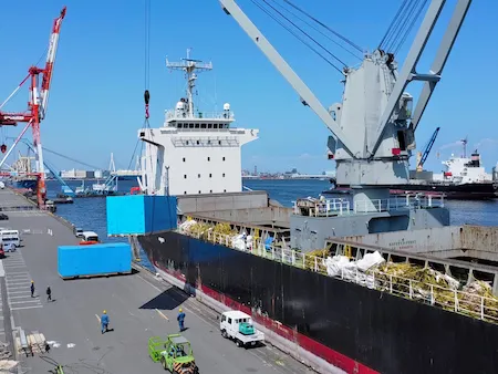 Cargo handling on board a conventional ship