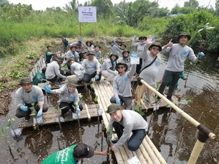 Mangrove planting 02